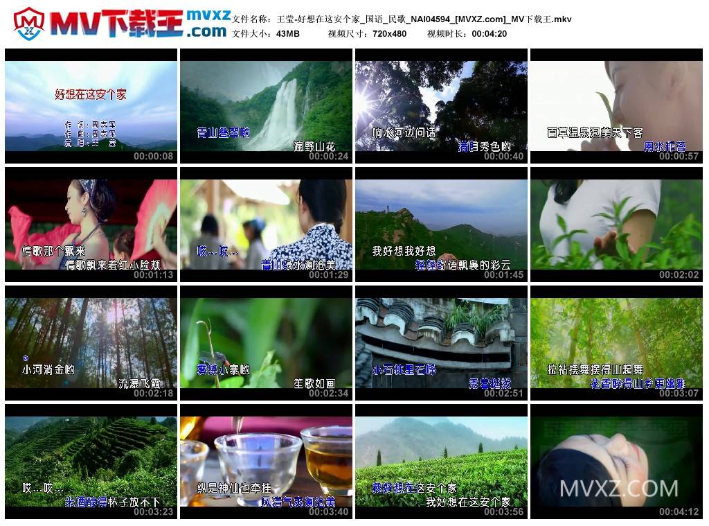 王莹-好想在这安个家_国语_民歌_NAI04594